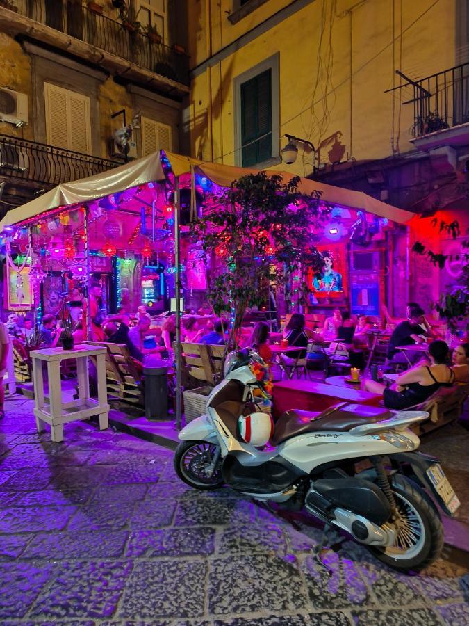 Domus Appartamento *